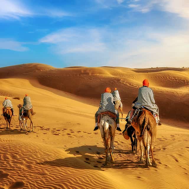 Safari matinal dans le désert au départ d'Abu Dhabi