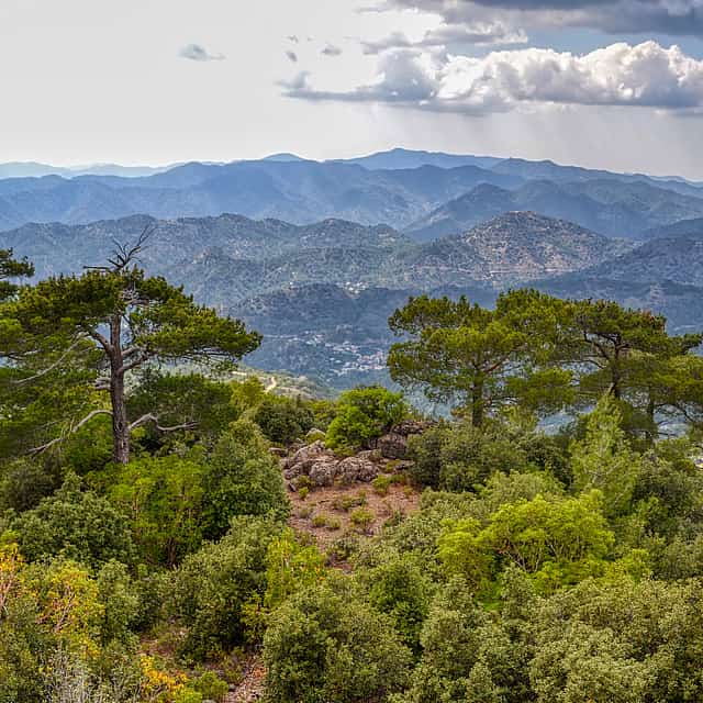 Artemis Trail and Waterfalls Trail Private Walking Tour