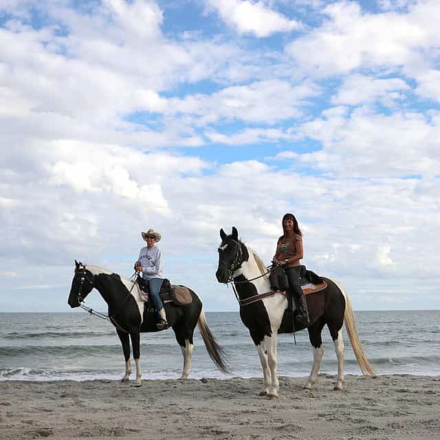 Seaside Horse Riding 60 minutes