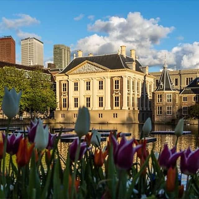 The Hague Scavenger Hunt & Highlights Self-Guided Walking Tour