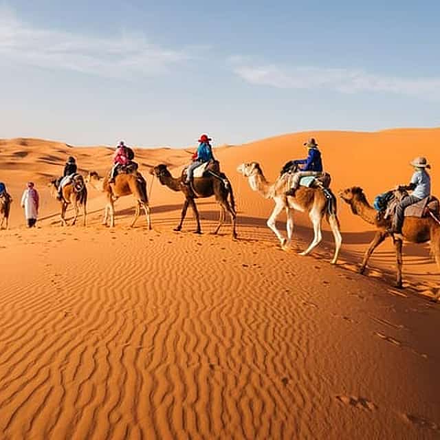 Camel Trekking In Abu Dhabi with Transfer, Fun and More