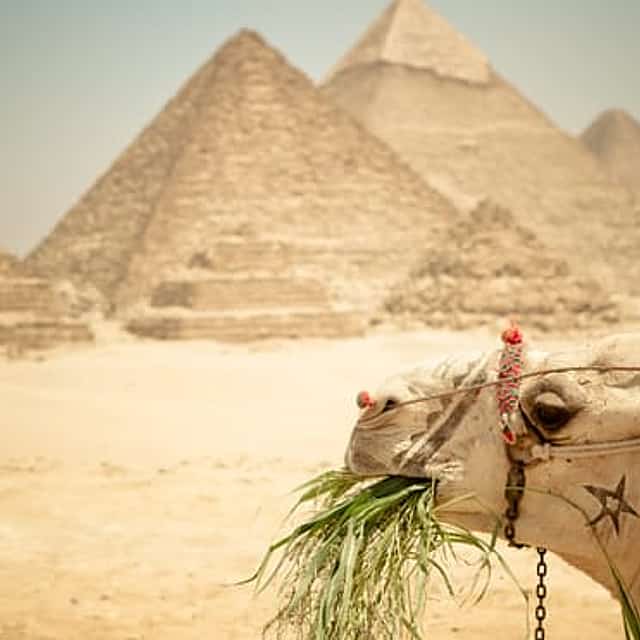 All-inclusive 2 Full Day Tours In Cairo