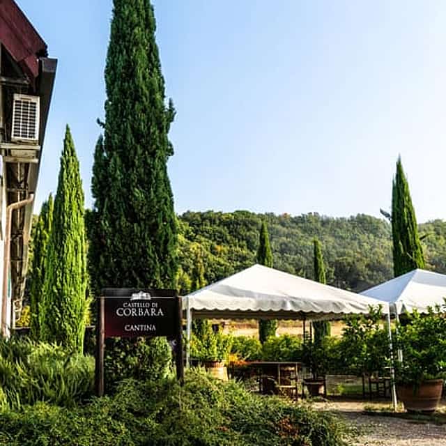 The Wines of Corbara: Exploring the Flavors of Umbria