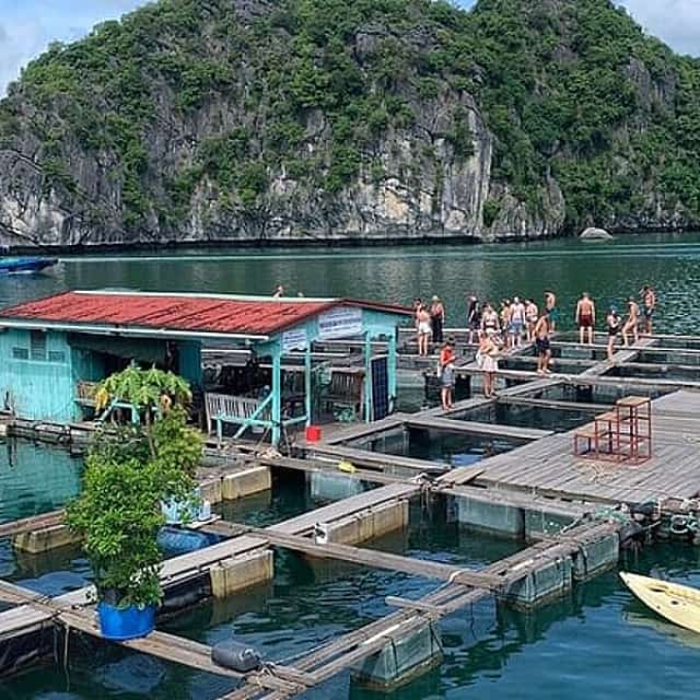 2D1N Adventure: Cat Ba National Park, Lan Ha Bay from Cat Ba