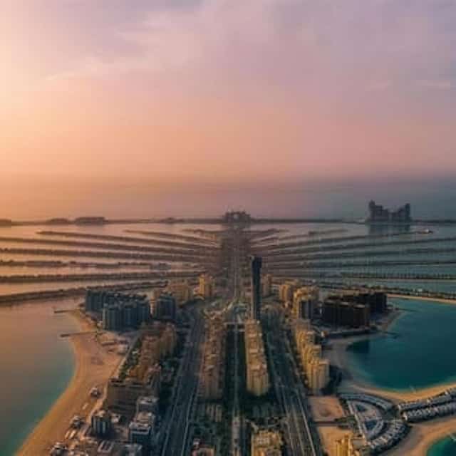 The View at the Palm