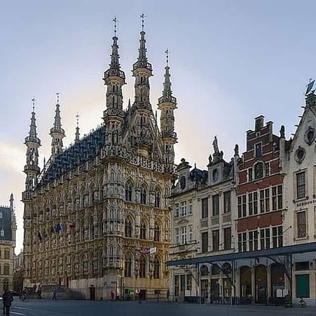 Timeless Leuven: Town Hall, Gothic Landmarks & Medieval Heritage
