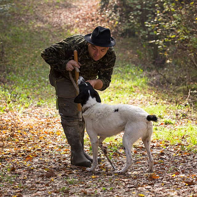 Truffle Hunting Tour