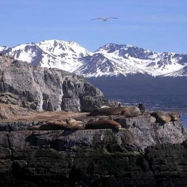 Beagle Channel Yacht Sailing Tour from Ushuaia