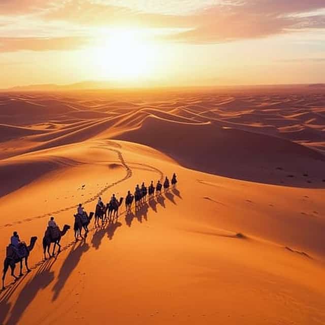 From Marrakech: 3-Day Sahara Desert Adventure to Fes, with Camels