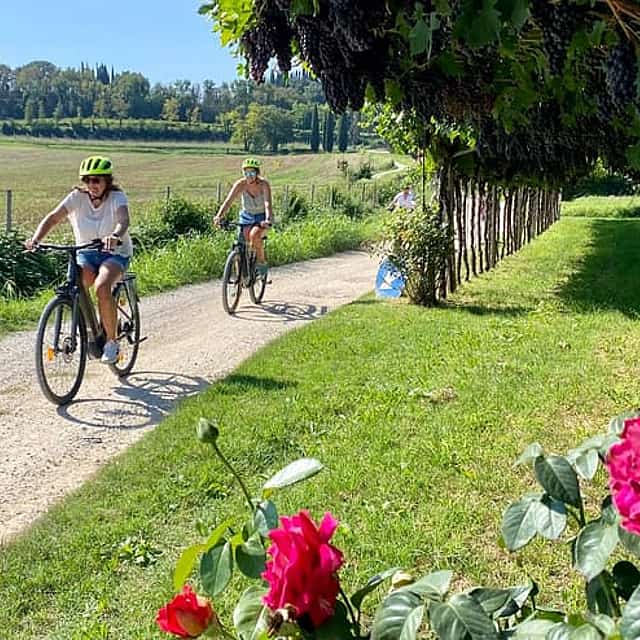 E-Bike Tour and wine tasting in Lazise Countryside