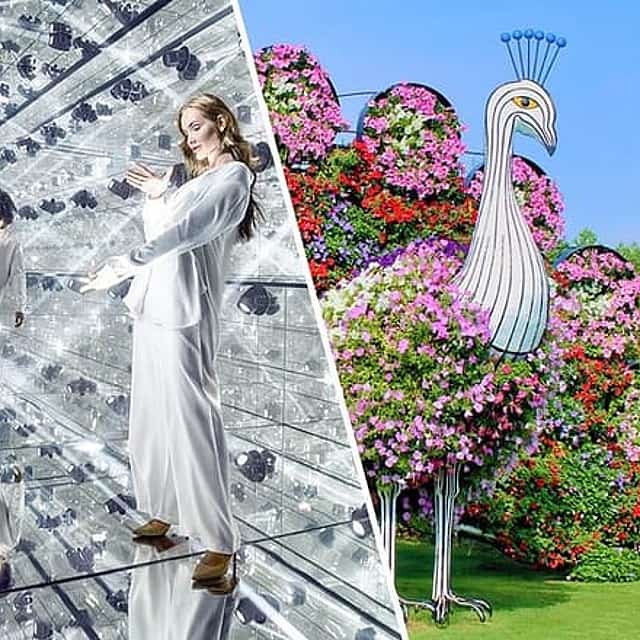 Dubai Combo: AYA Universe and Dubai Miracle Garden Tickets