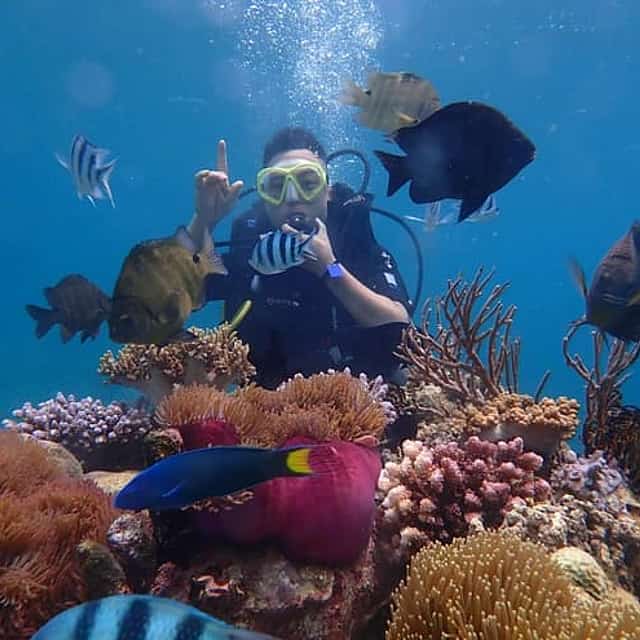 Fantastic Snorkeling - Nha Trang