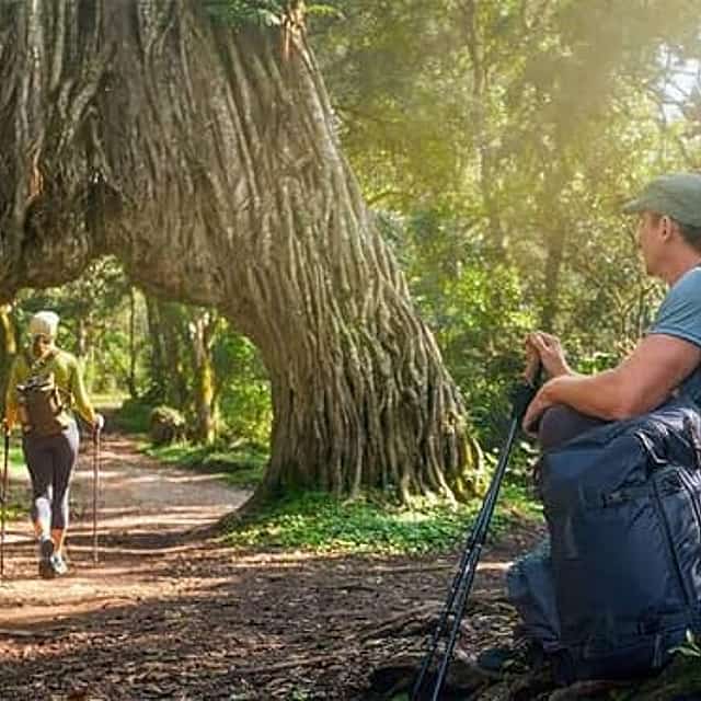 Parc national d'Arusha : safari et marche guidée