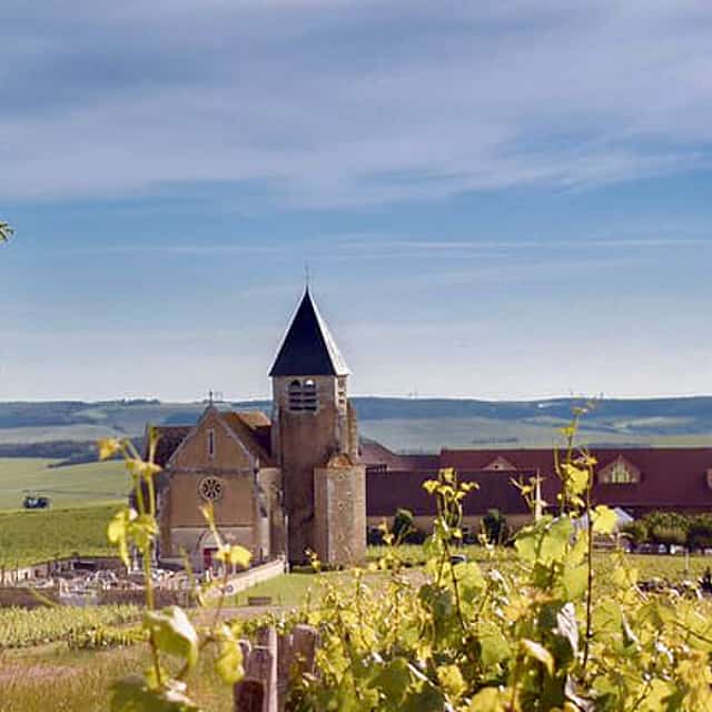Private Burgundy 3 Domaines Chateau Pommard Chablis 15 Wines Trip from Paris.