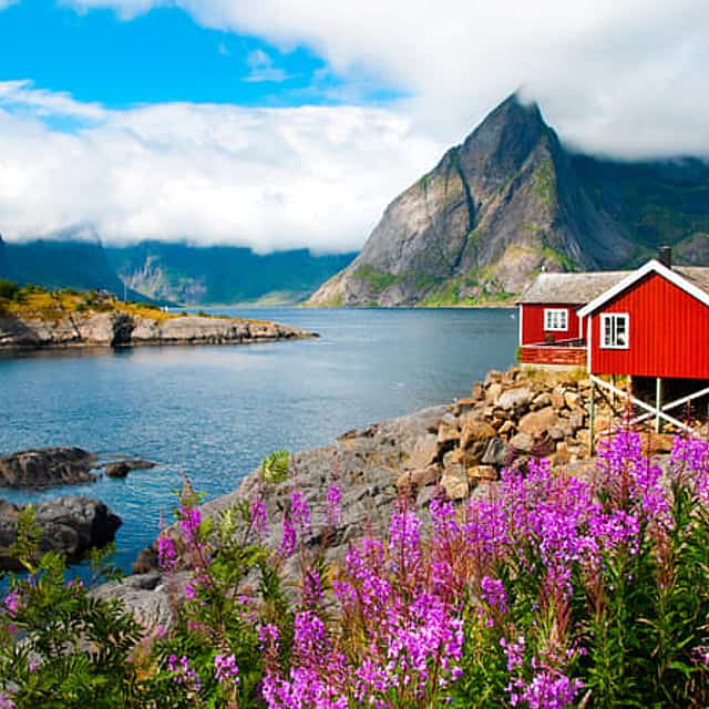 Lofoten Highlights Photo Tour - Reine, Hamnøy & Å