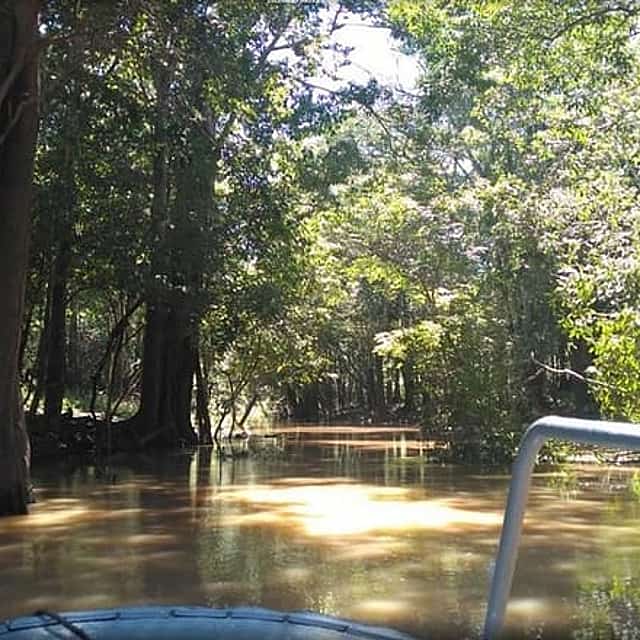 4 Days Amazon Jungle Adventure Tour