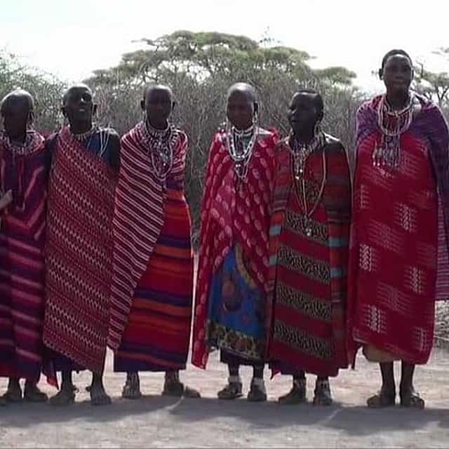 4 Days Budget Safari to Maasai Mara only from Nairobi