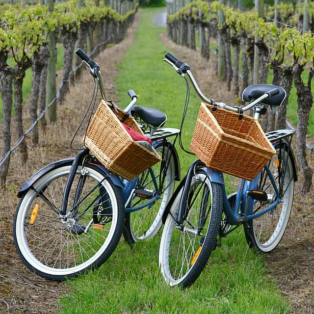 Fahrradtour durch die Weinberge von Binissalem und Weinverkostung