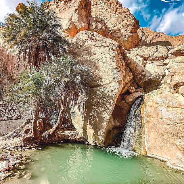 "Oasis, aventura y Star Wars: Un viaje épico de Djerba a Tozeur"