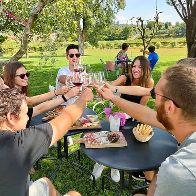 Wine Tasting with local food in Lazise countryside