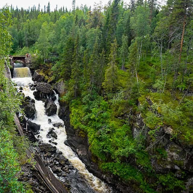 Auttiköngäs Wilderness Hike