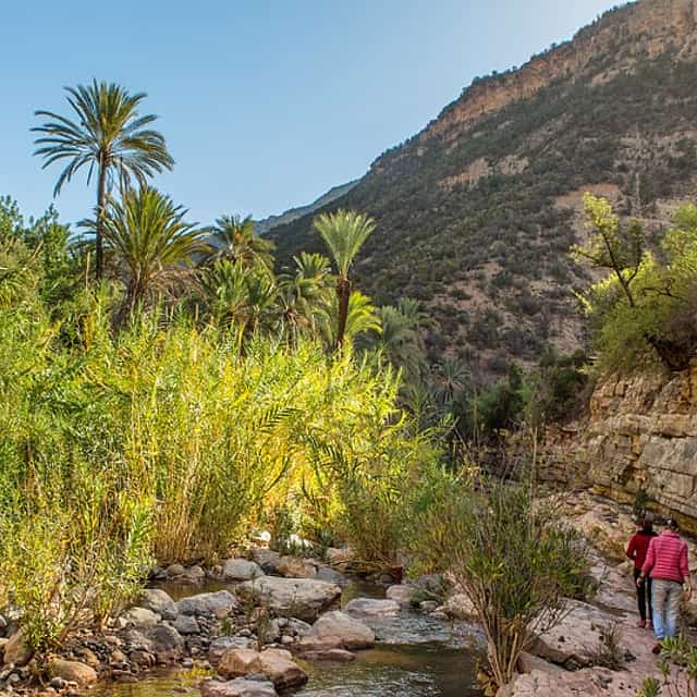 Agadir to Paradise Valley Tour and  Swimming Adventure