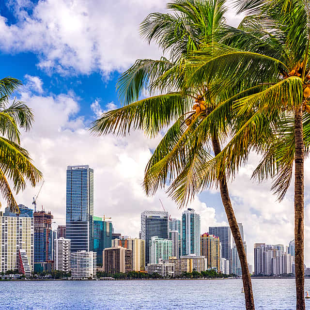 3-tägiges Miami Beach-Paket mit Bus- und Bootstour durch Miami, Everglades und Key West