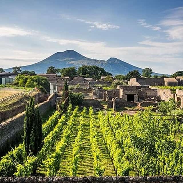 Vesuvius, Pompeii (private guide),vineyards and winery tour, lunch wine taste .