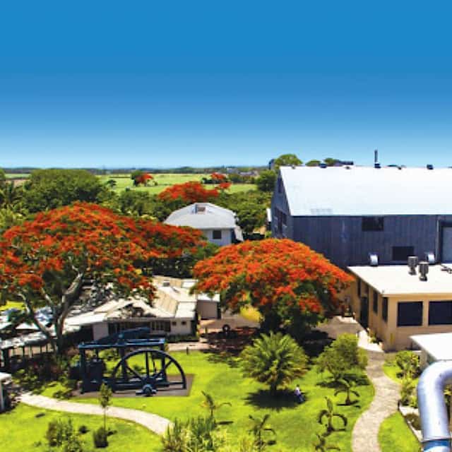 Nordtagestour: Botanischer Garten, Zuckermuseum und optionale Rumverkostung
