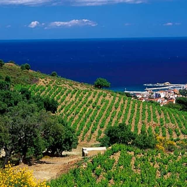 Private Shore Excursion: Collioure and Languedoc from Port Vendres