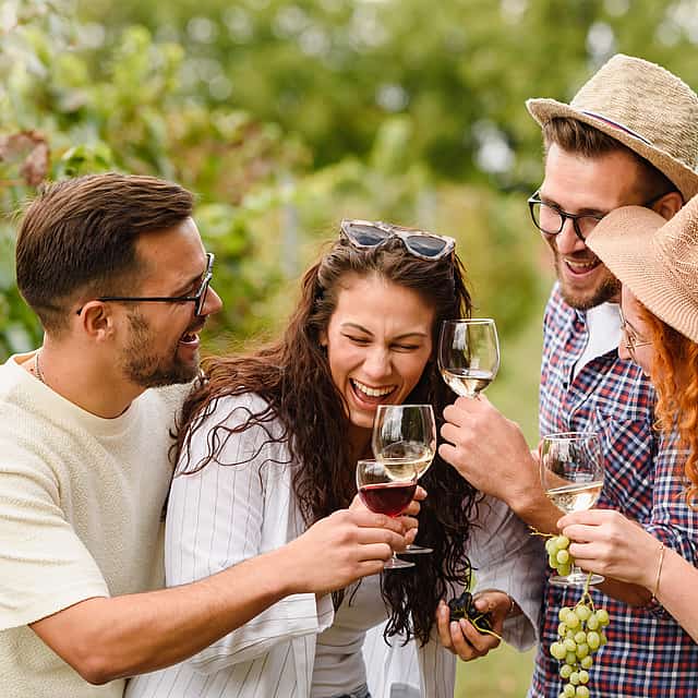 Private Carmignano Half-day Tour from Florence: The First Cabernet Sauvignon in Tuscany