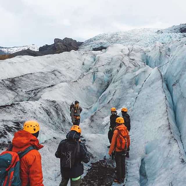 Glacier Encounter
