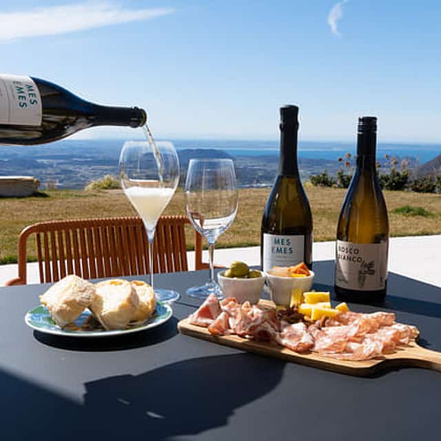 Tasting of Organic Mountains Wines with Vineyard and Cellar Tour