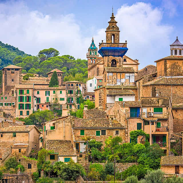 Valldemossa Private Tour