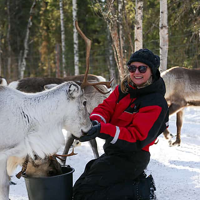 Reindeer Herder’s Day in the Wilderness with a Snowmobile sled, Levi