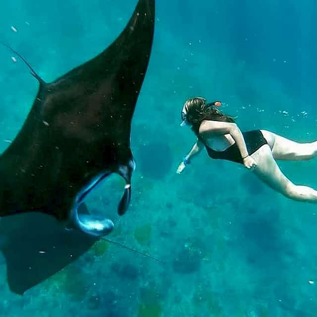 Full Day Tour to Nusa Penida and Snorkeling with Manta Rays
