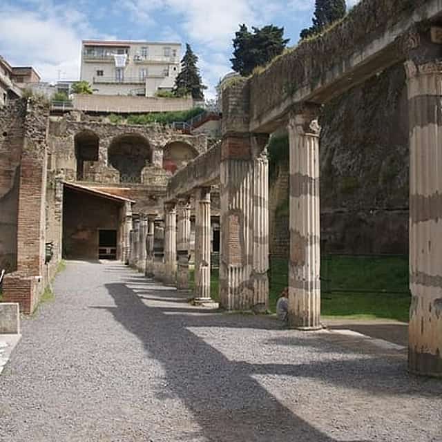 HERCULANEUM tour from Naples