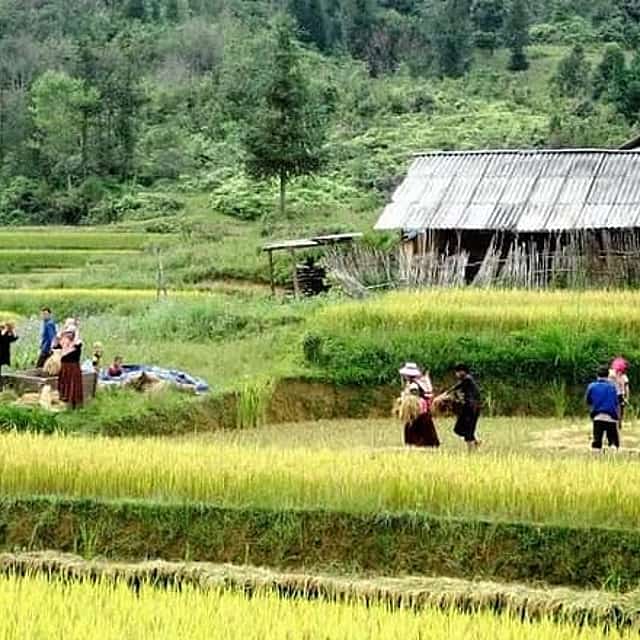 Authentic Sapa Trekking With Local Family Homestay (2d1n by bus)