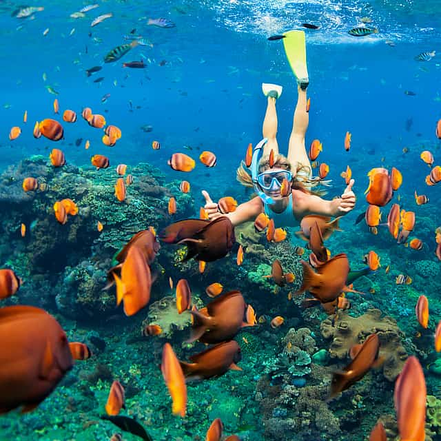 Passeio de Snorkel a Ras Mohamed e Ilha Branca de Barco