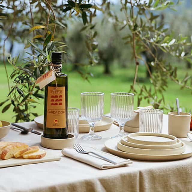 Olive Oil Tasting with local food on Lake Garda Hills