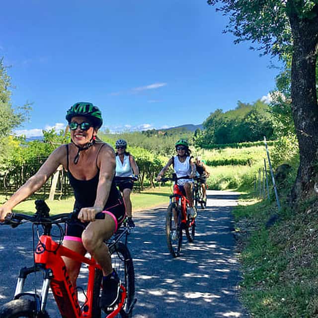 E-Bike tour and wine tasting in Lazise