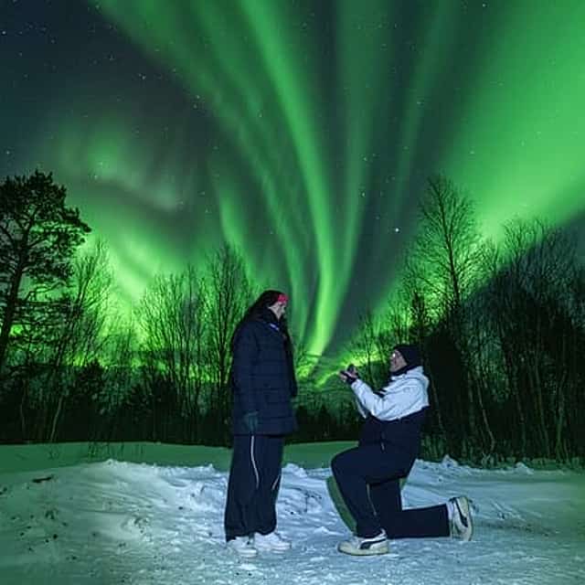 Tromsø: Northern Lights Minibus Tour with Expert Guides