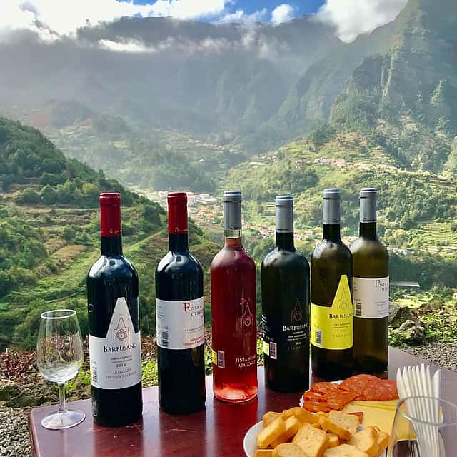 Tour de degustación de vinos de día completo con almuerzo en el viñedo
