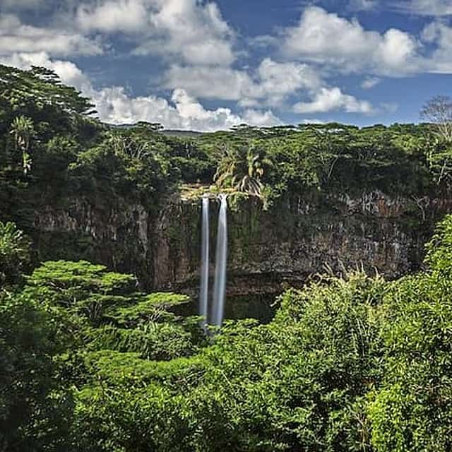 Exotic South: Journey into the Nature (Full-Day Tour incl Lunch & Ebony Forest)