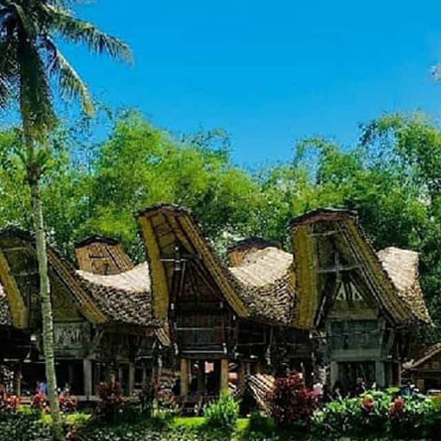 Sulawesi: Tour de Toraja de 3 días desde Makassar para explorar la cultura ancestral y la belleza natural.
