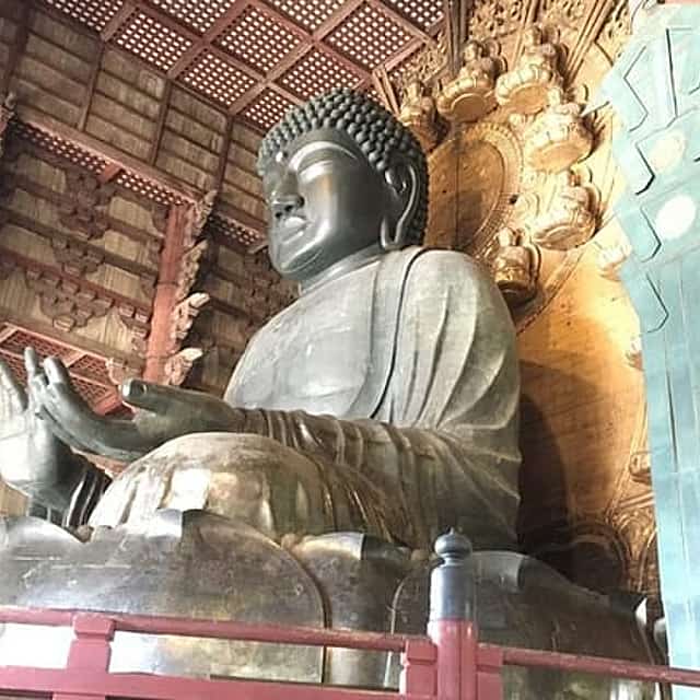 3-Hour Private Guided Tour of Nara Park