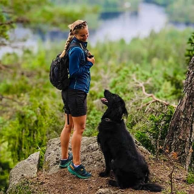 Schilderachtige boswandeling met lokale gids en hond