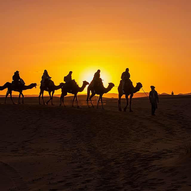Private Nachmittags-Wüstensafari mit Kamelritt und Sandboarding