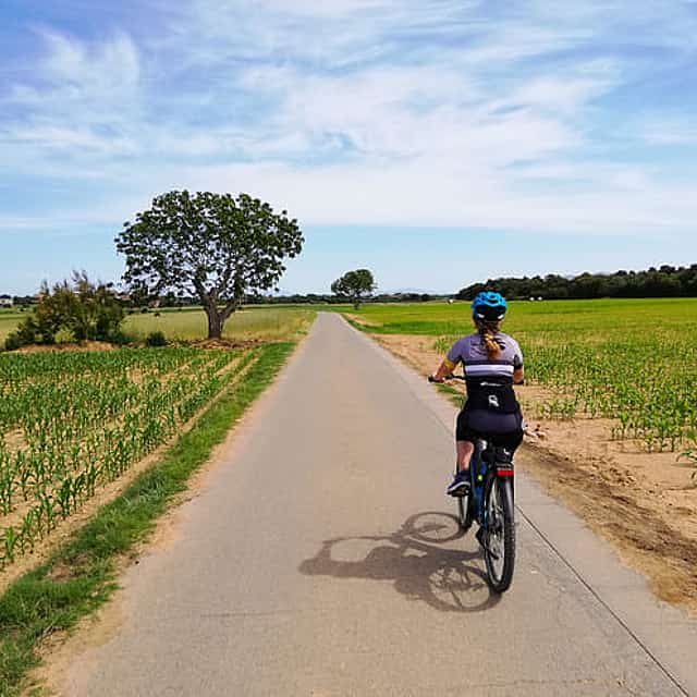E-Bike Tour Medieval Villages + winery visit & brunch