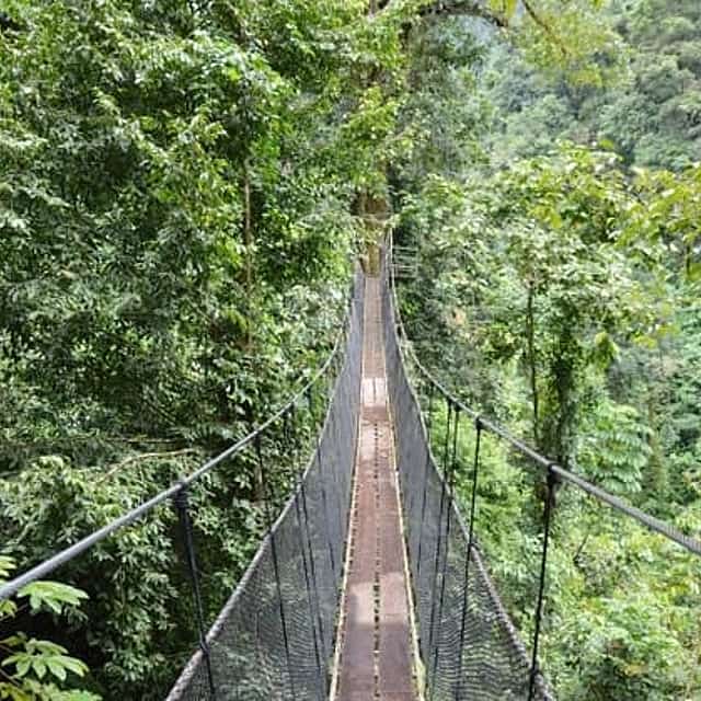 Rainmaker Park Tour from Manuel Antonio